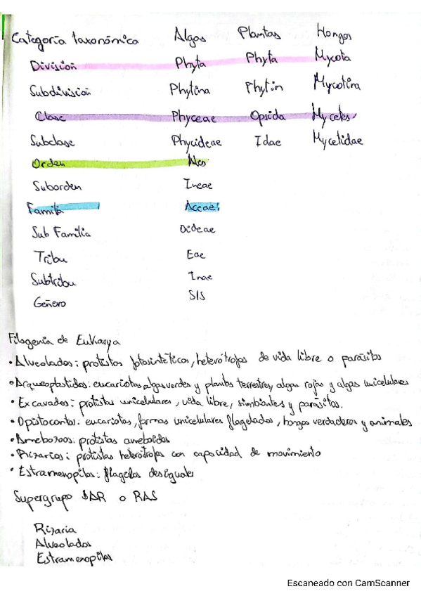 Miniatura del documento Botanica-1cuatri.pdf