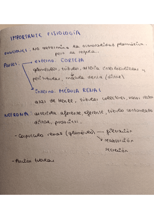Miniatura del documento FISIOLOGIA-RESUMEN.pdf