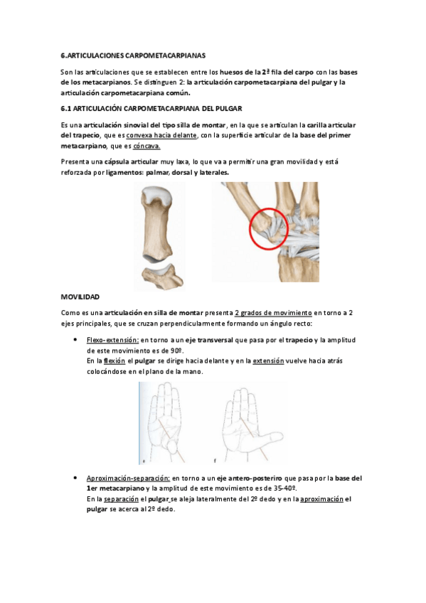 Miniatura del documento ARTICULACIONES-DE-LOS-DEDOS.pdf