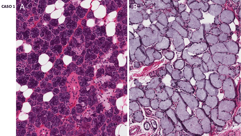 Miniatura del documento Imagenes-examen-practico-AP-I-2023.pdf