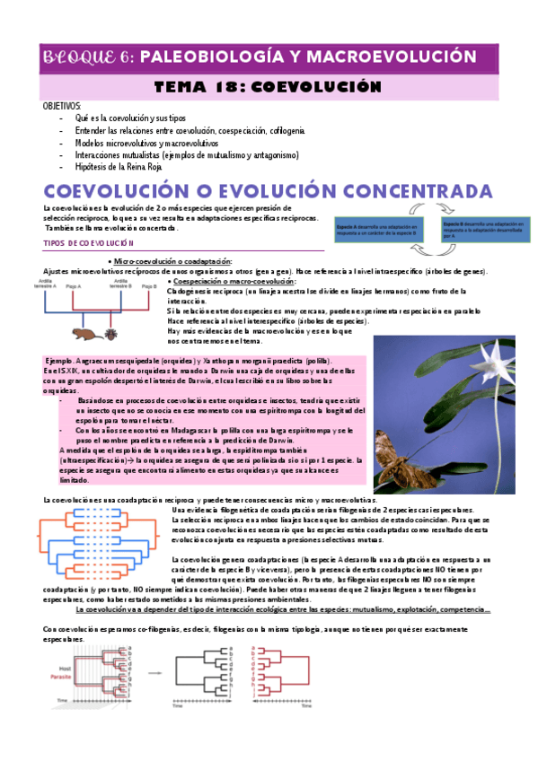 Miniatura del documento TEMA-18-COEVOLUCION.pdf
