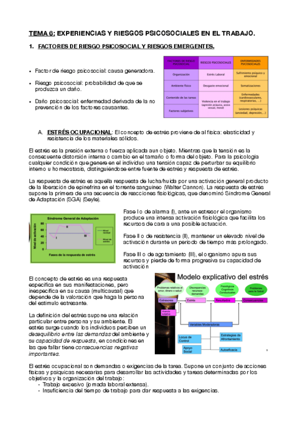 Miniatura del documento TEMA-6.-PSICOLOGIA-ORGANIZACIONAL..pdf