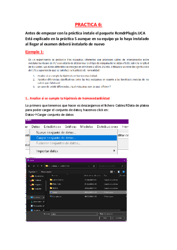 Miniatura del documento P6-EXPLICADA-PASO-A-PASO-CON-IMAGENES.pdf