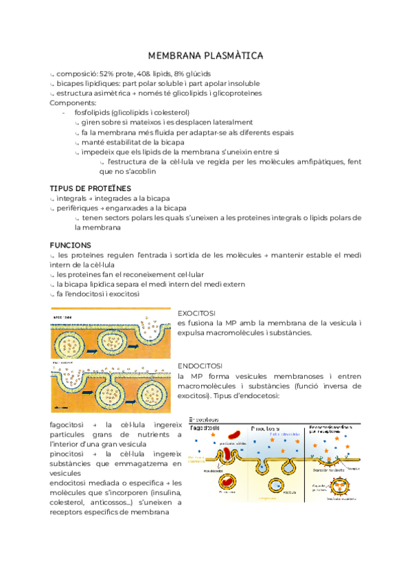 Miniatura del documento componentes-de-la-celula.pdf.pdf
