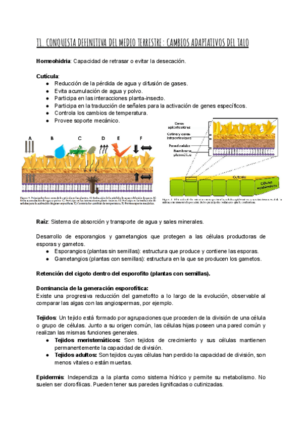 Miniatura del documento Bot2T1.pdf