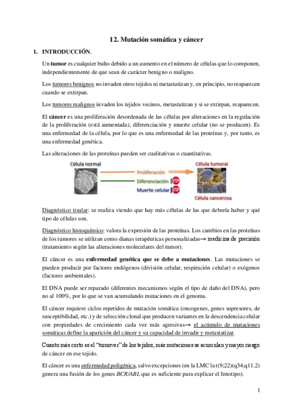 Miniatura del documento 12.-Mutacion-somatica-y-cancer.pdf