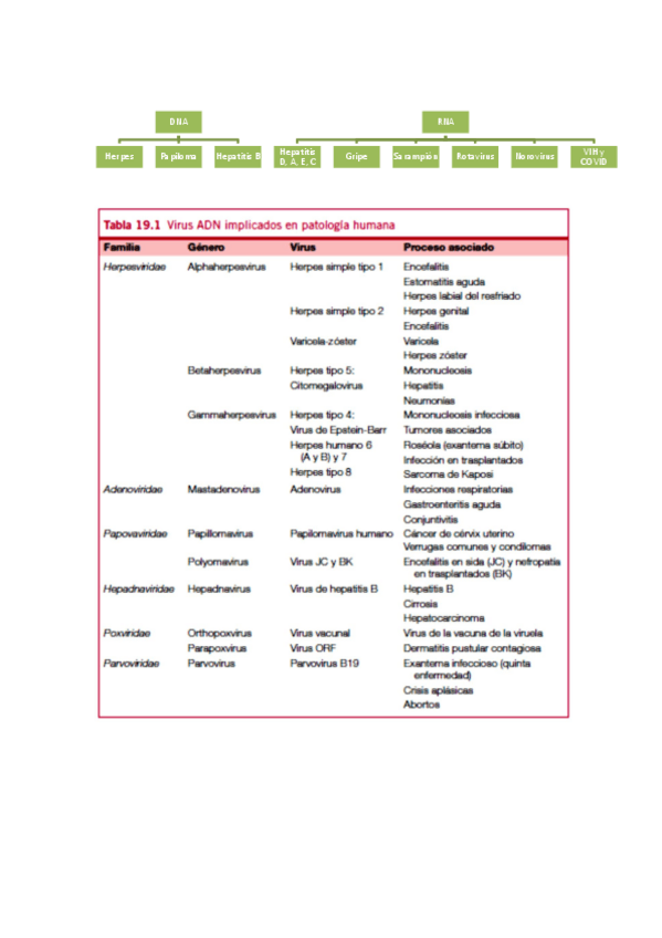 Miniatura del documento Virus.pdf