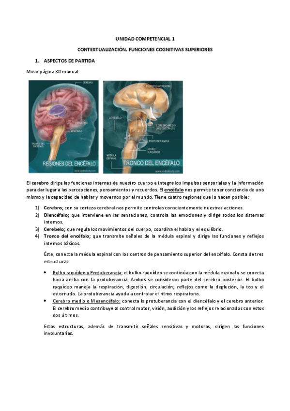 Miniatura del documento Apuntes-Psicofisiologia.pdf