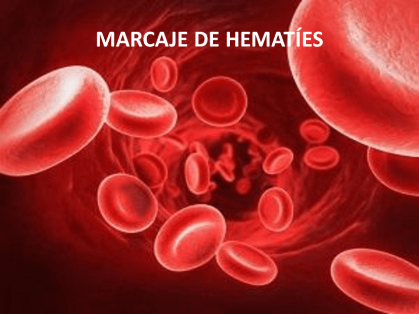 Miniatura del documento 6.-MARCAJE-DE-HEMATIES.pdf