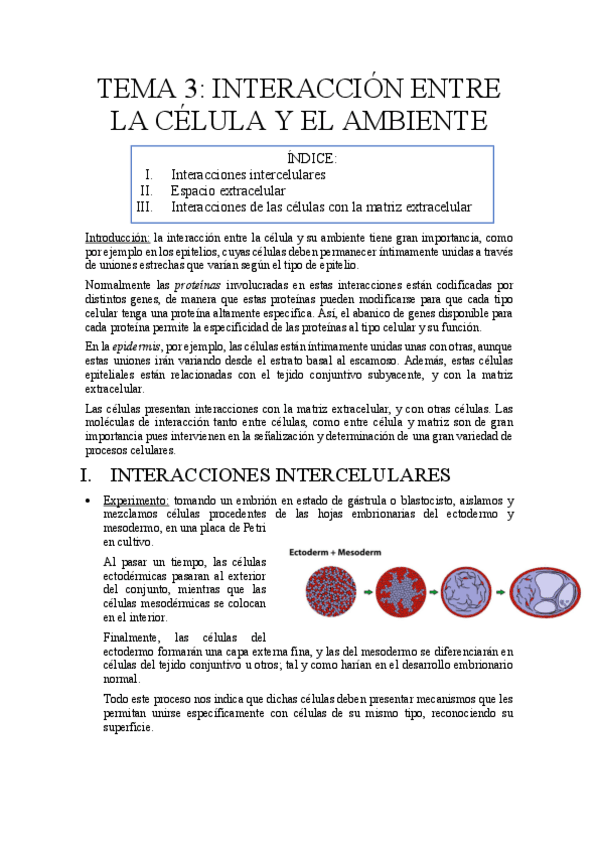 Miniatura del documento TEMA 3.pdf