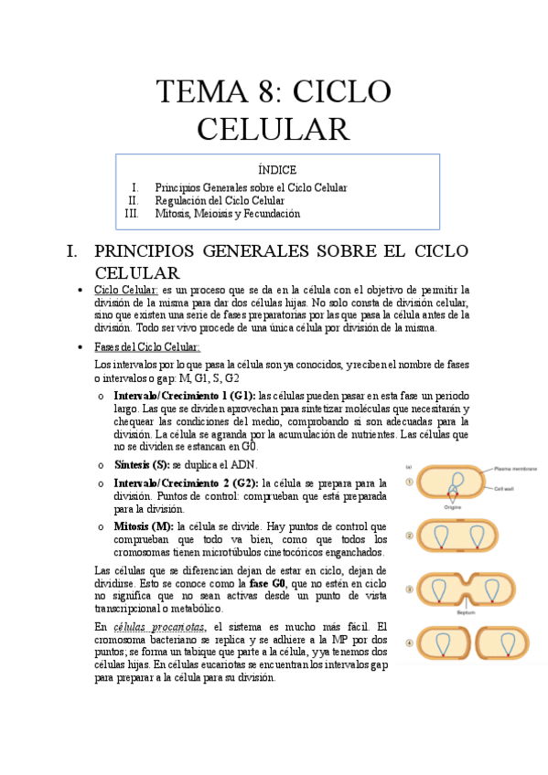Miniatura del documento TEMA 8.pdf