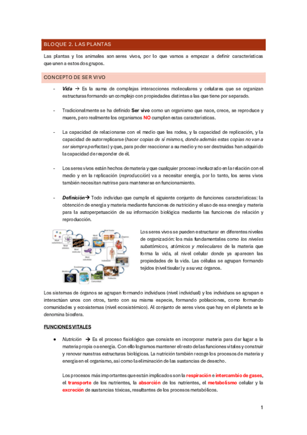Miniatura del documento APUNTES-FINALES-NATURALES.-ANIMALES-Y-PLANTAS-1.pdf
