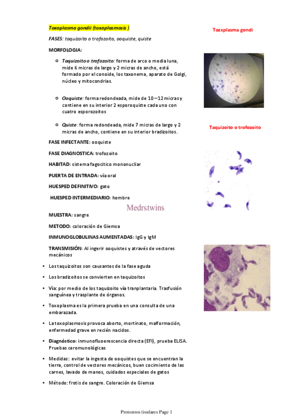Miniatura del documento Protozoos-tisulares.pdf