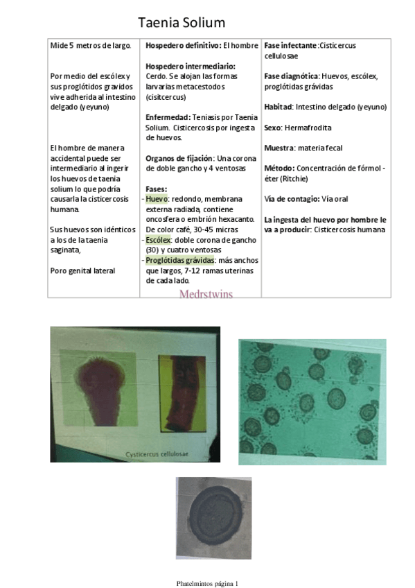 Miniatura del documento Phatelmintos.pdf