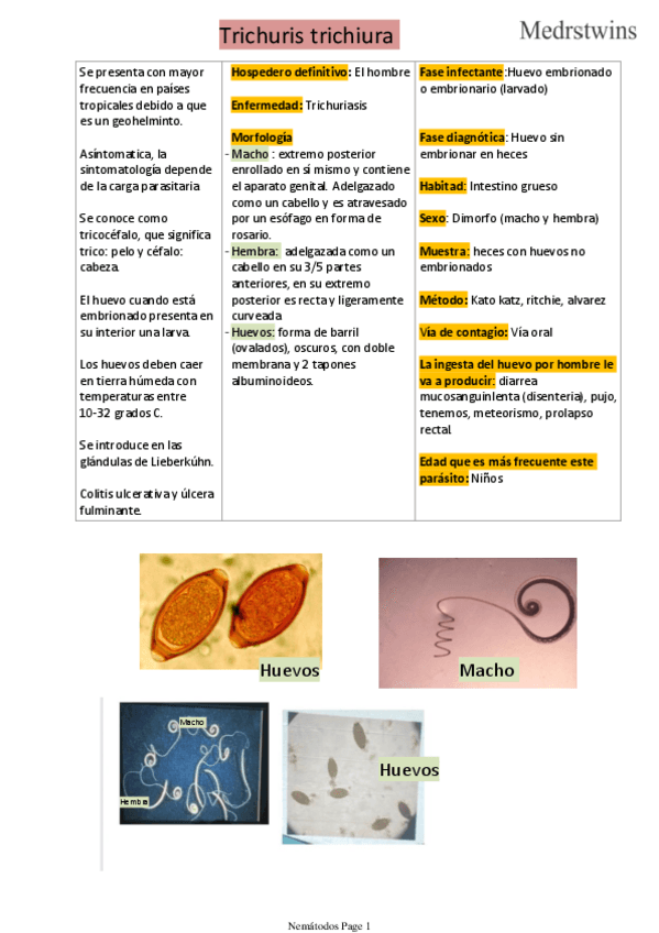Miniatura del documento Nematodos.pdf