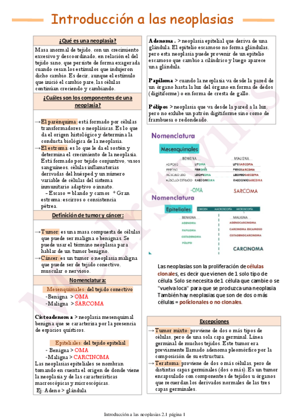 Miniatura del documento Introduccion-a-las-neoplasias.pdf
