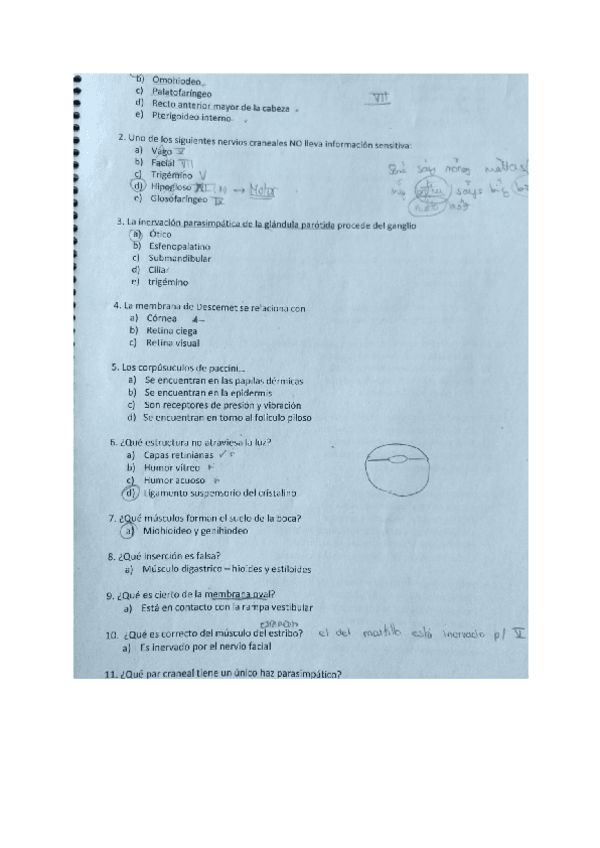 Miniatura del documento Autoevaluacion.pdf