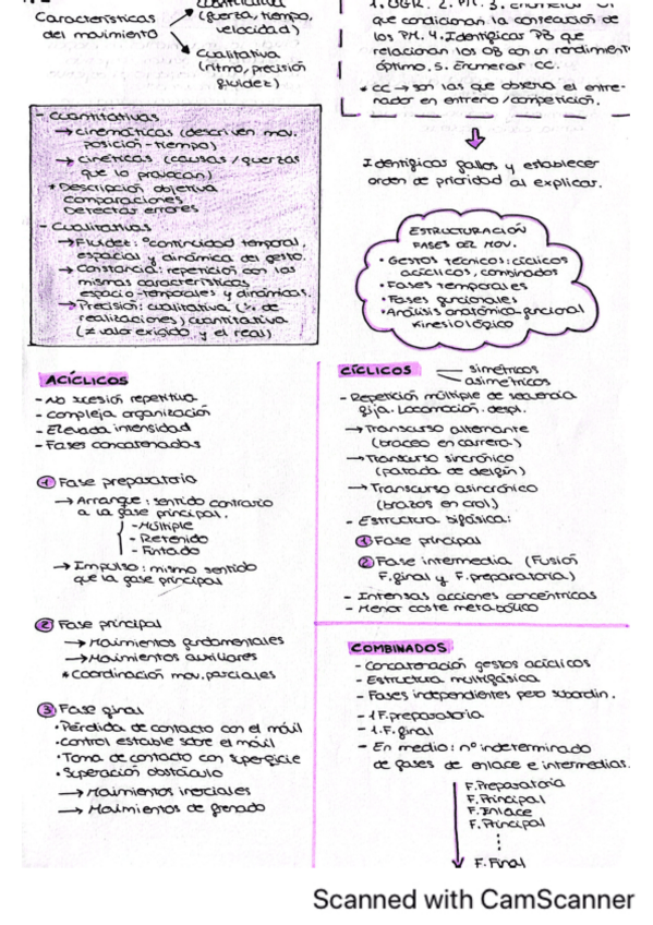 Miniatura del documento T.2-kinesiologia.pdf