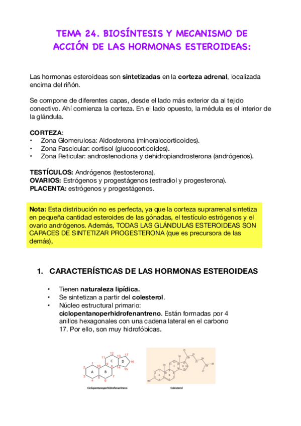 Miniatura del documento T24.-Hormonas-Esteroideas.pdf
