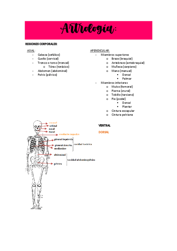 Miniatura del documento ARTROLOGIAAPUNTES.pdf