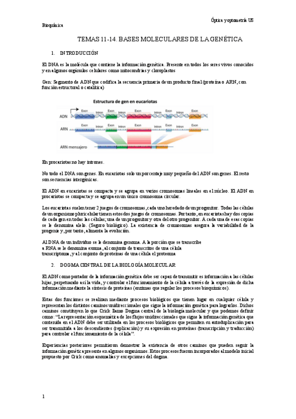 Miniatura del documento Tema-11-14.-Bases-moleculares-de-la-genetica.pdf