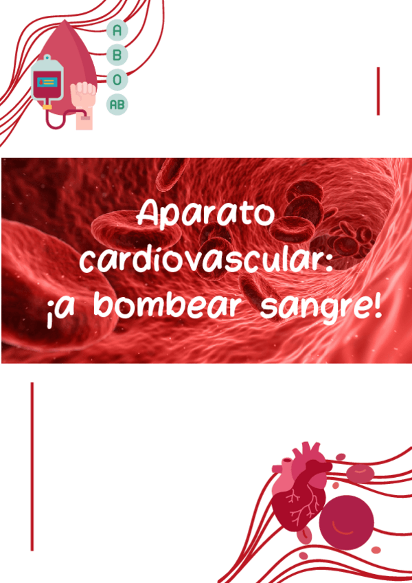 Miniatura del documento Aparato-cardiovascular-a-bombear-sangre.pdf
