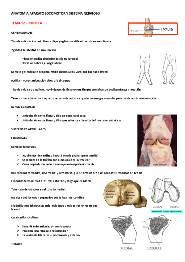 Miniatura del documento TEMA-12-RODILLA.pdf