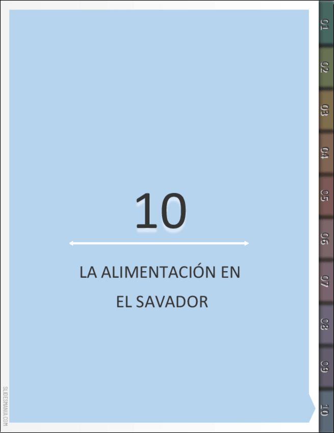 Miniatura del documento La-alimentacion-en-El-Salvador.pdf