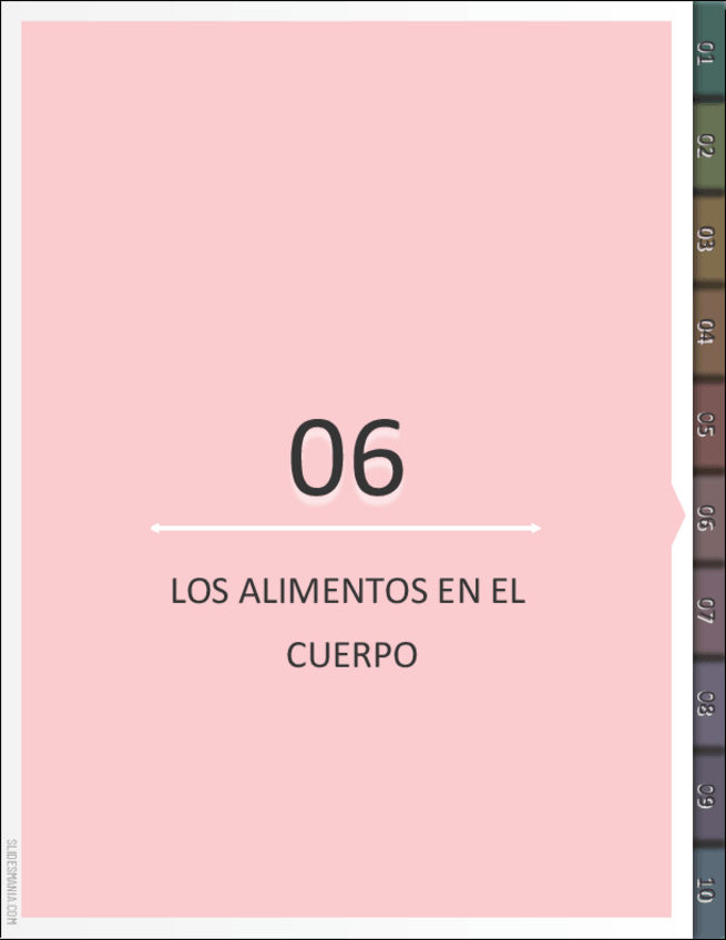 Miniatura del documento Los-alimentos-en-el-cuerpo.pdf