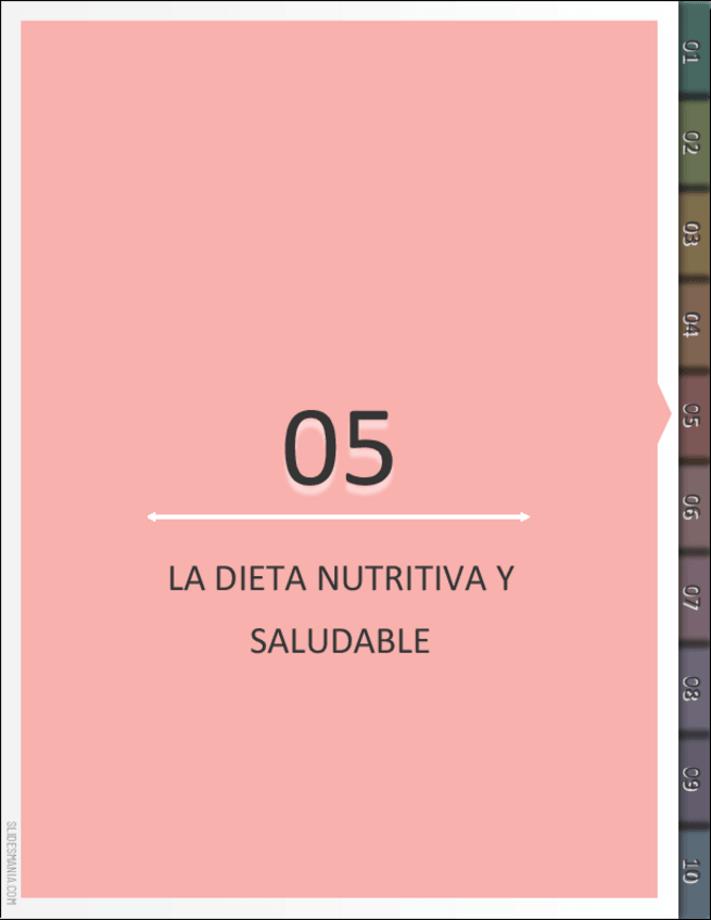 Miniatura del documento La-dieta-nutritiva-y-saludable.pdf