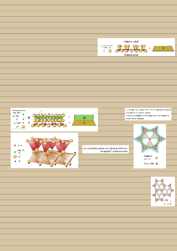 Miniatura del documento Resumen tema-12-b.pdf