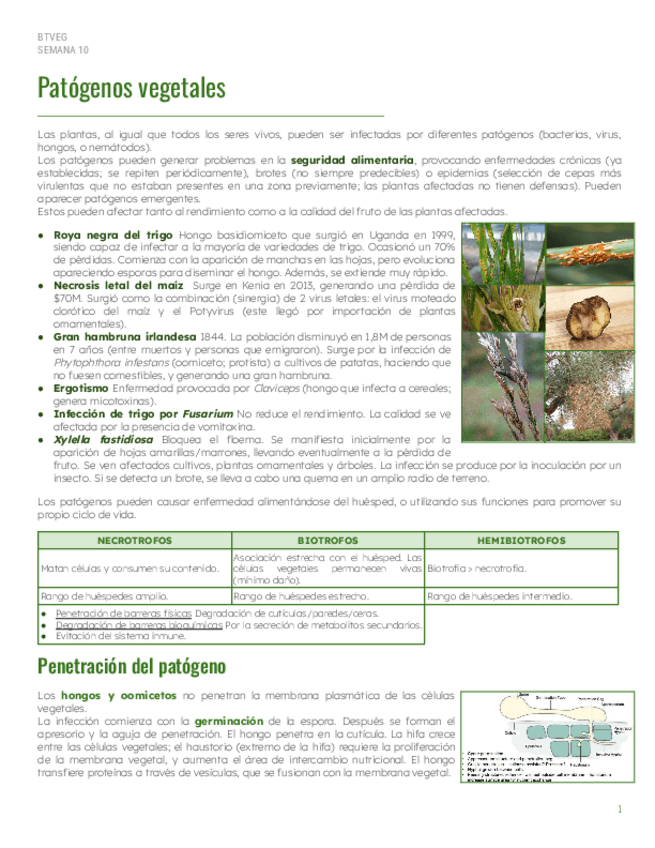 Miniatura del documento S10-Patogenos.pdf
