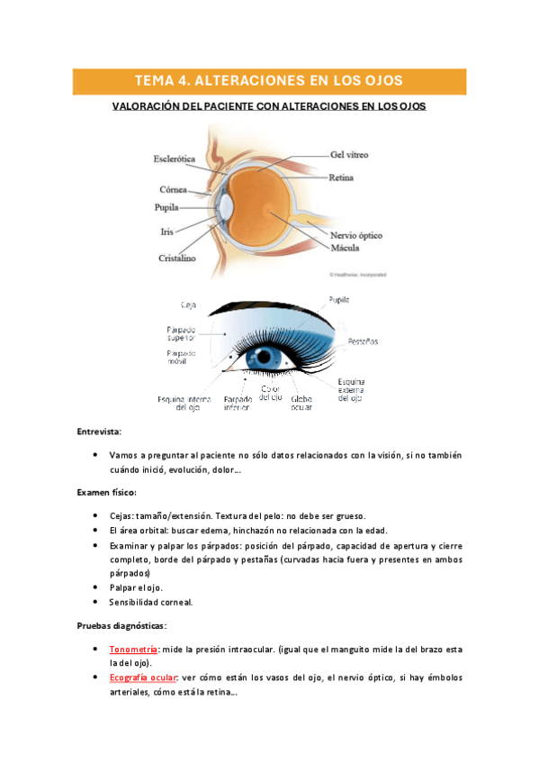 Miniatura del documento Tema-4.-Alteraciones-en-los-ojos.pdf