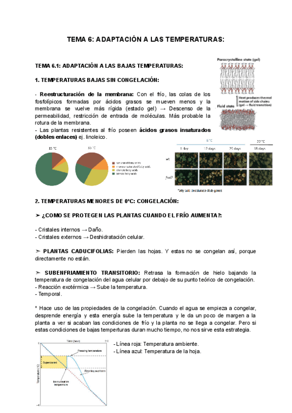 Miniatura del documento TEMA-6-ADAPTACION-A-LAS-TEMPERATURAS.pdf