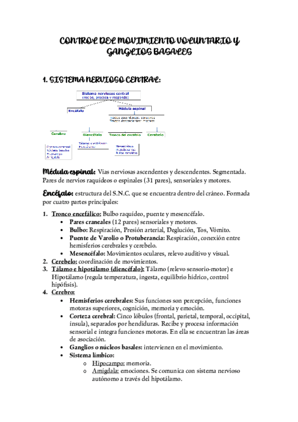 Miniatura del documento MOV-VOLUNTARIO-Y-GANGLIOS-BASALES.pdf