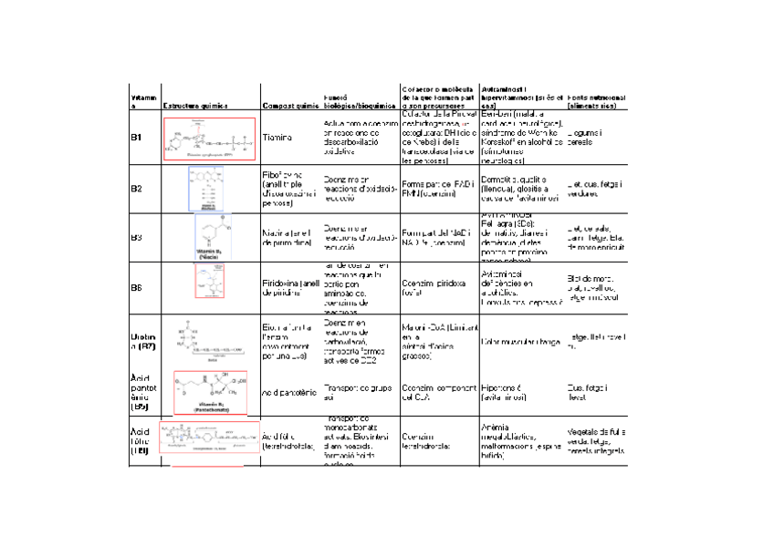 Miniatura del documento Taula-vitamines.-Activitat.pdf