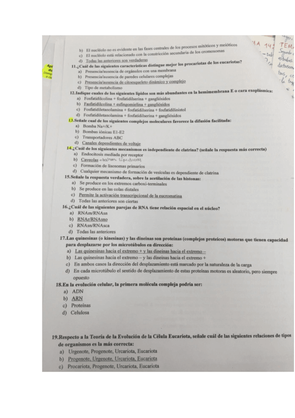 Miniatura del documento Documento1.pdf