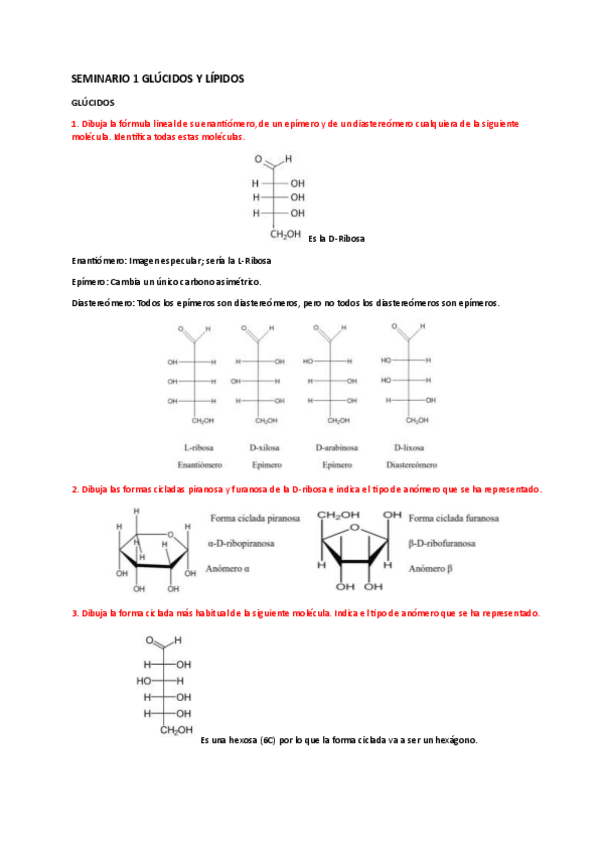 Miniatura del documento SEMINARIO-1-GLUCIDOS-Y-LIPIDOS.pdf