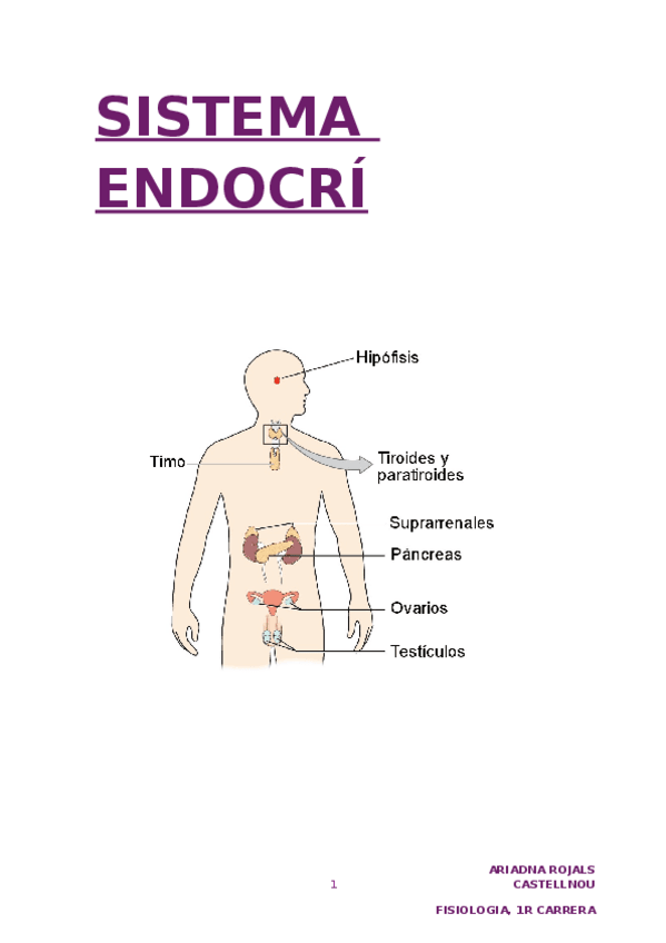 Miniatura del documento SISTEMA-ENDOCRI.docx