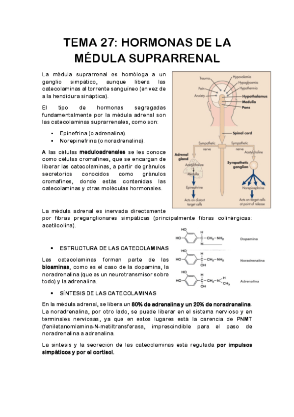 Miniatura del documento TEMA-27.pdf