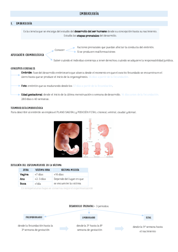 Miniatura del documento Tema-10-bio-medico.pdf