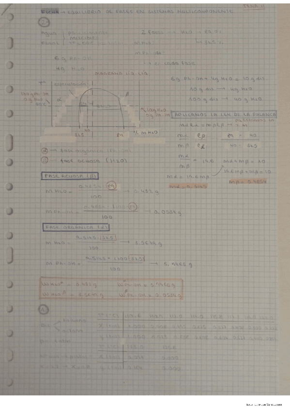 Miniatura del documento ejs-sistemas-multicomponentes.pdf