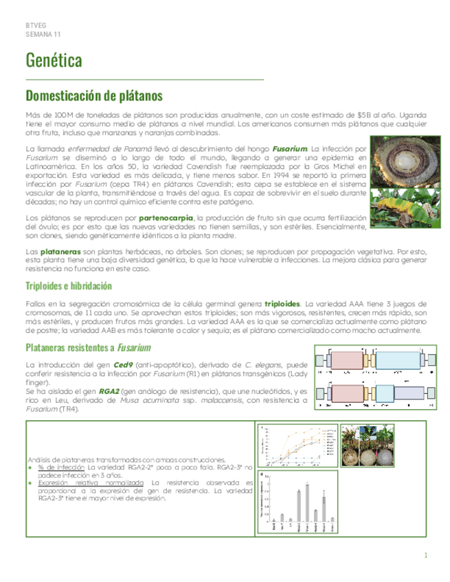 Miniatura del documento S11-Genetica.pdf