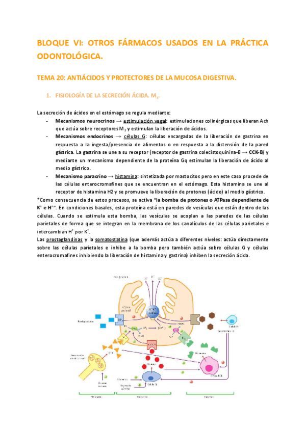 Miniatura del documento BLOQUE-6-FARMA.pdf
