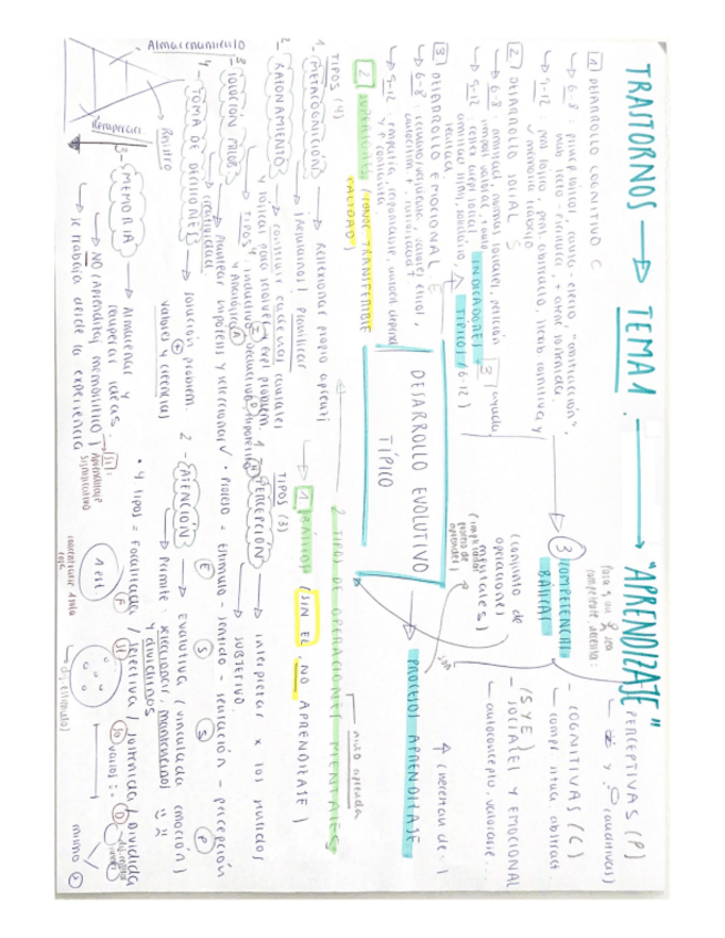 Miniatura del documento ESQUEMAtema-1-Desarrollo-Evolutivo-Tipico.pdf