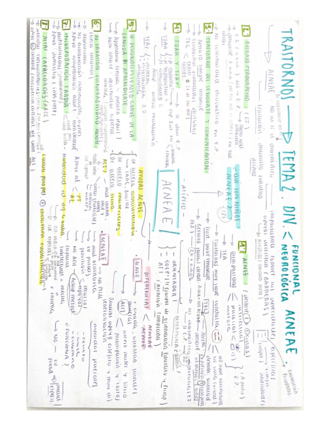 Miniatura del documento ESQUEMAtema-2-ACNEAE.pdf