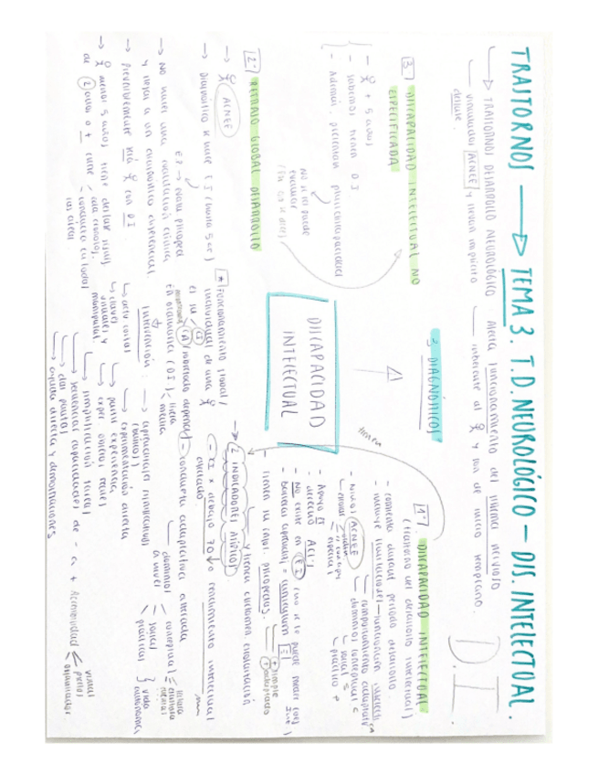 Miniatura del documento ESQUEMAtema-3-Discapacidad-Intelectual.pdf