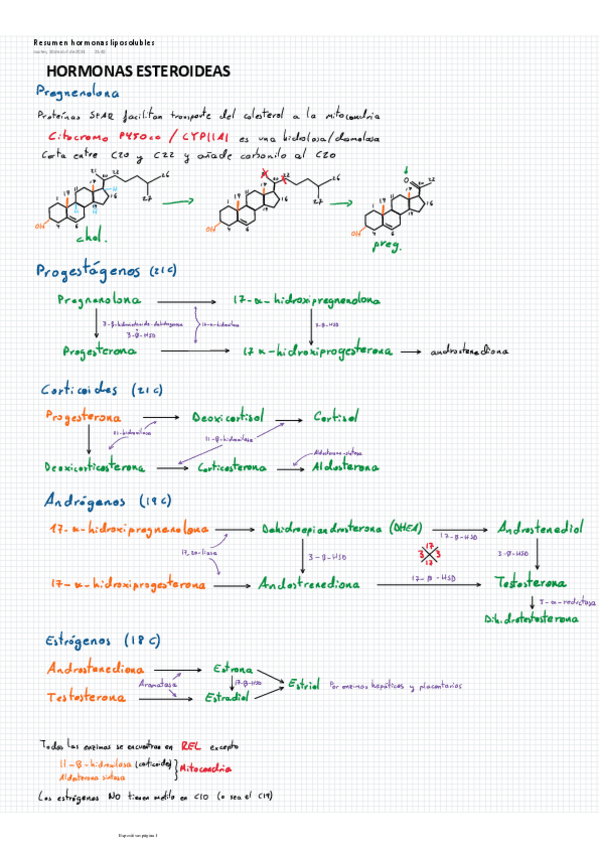 Miniatura del documento Resumen-hormonas-liposolubles.pdf