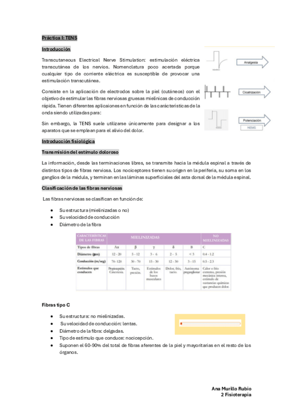 Miniatura del documento Practica-1-TENS.pdf