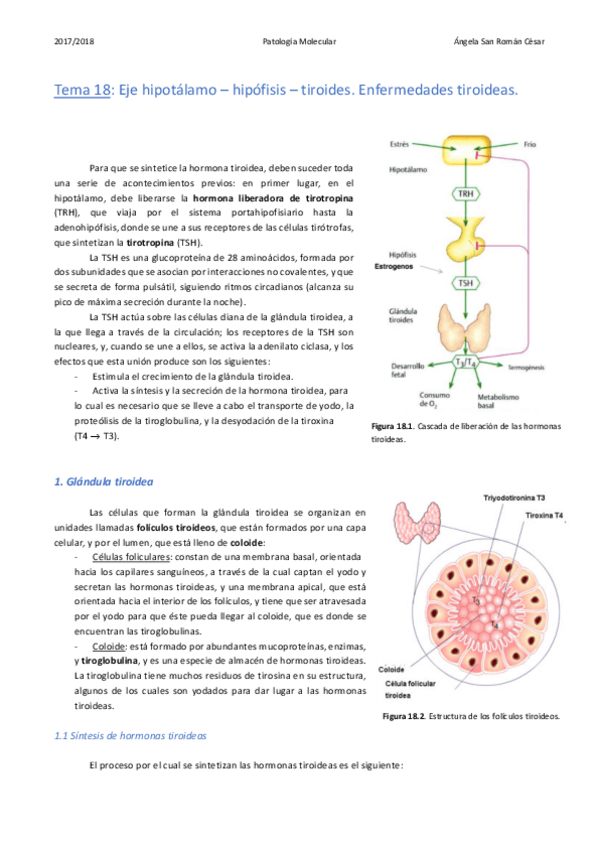 Miniatura del documento 18. Enfermedades tiroideas.pdf
